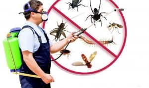 Pest control