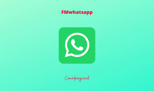 cara menggunakan FMWhatsapp