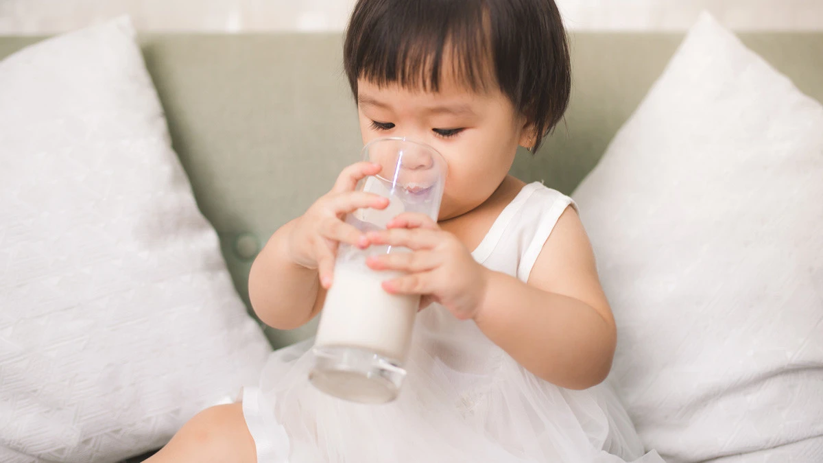 Apakah Susu Formula Bayi Aman Di Sini Penjelasannya!